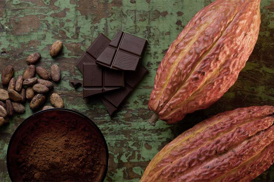 Product Knowledge: Cocoa