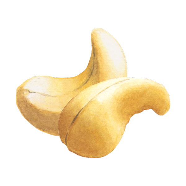 Cashew Grafik