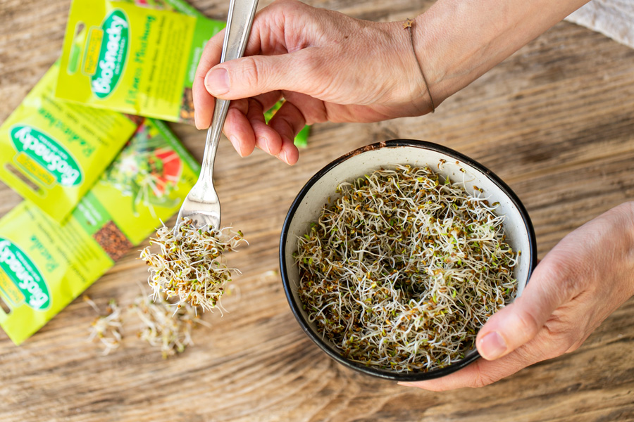 Know-how: How to grow sprouts with bioSnacky