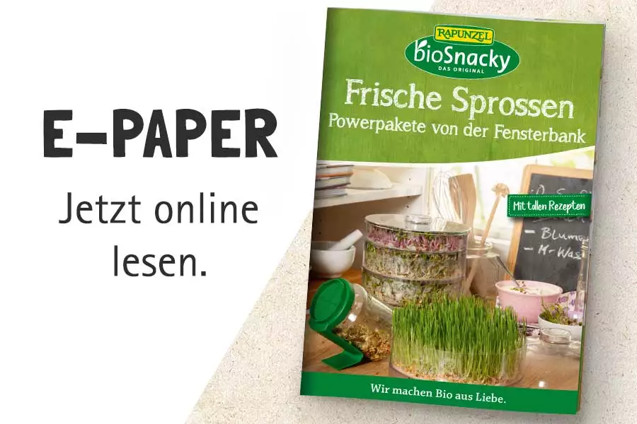 E-Paper Frische Sprossen