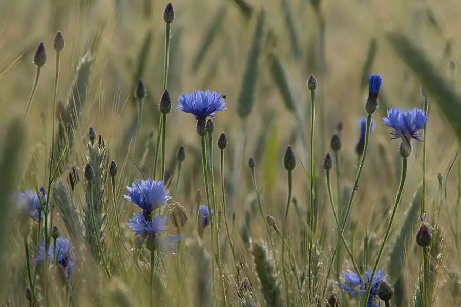 Der Film zeigt beeindruckende Aufnahmen aus der Na