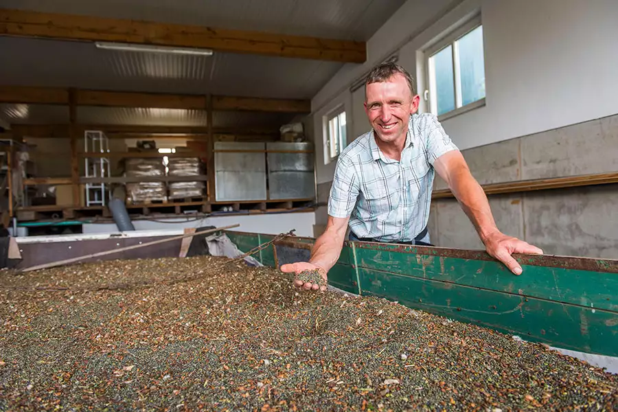 Landwirt Anton Scheidel stolz mit der Linsenernte