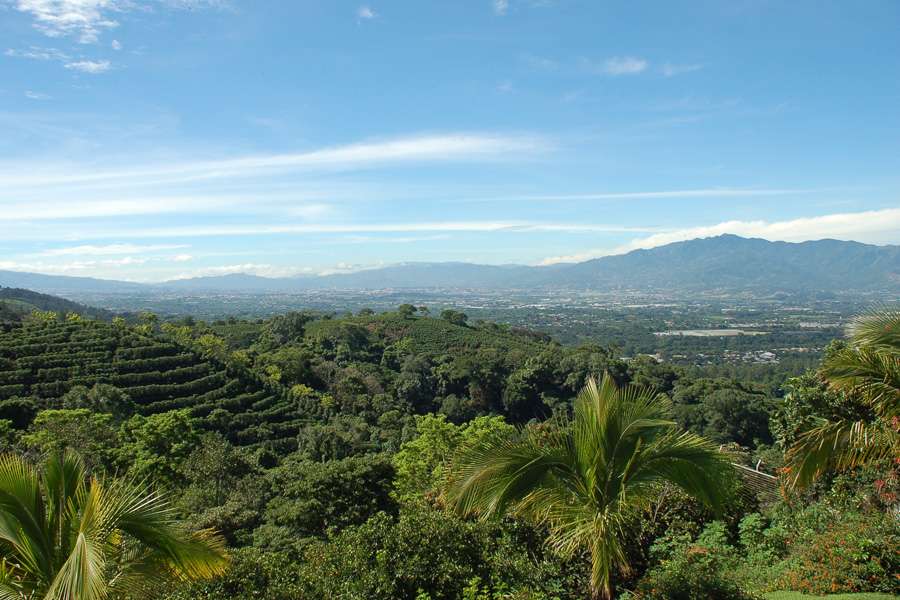 Fairer HAND IN HAND Zucker aus Costa Rica